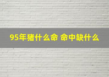 95年猪什么命 命中缺什么